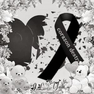 Meet your Posher, Ana flores